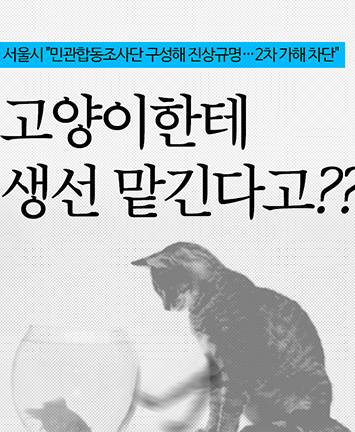 제목 노출 영역입니다 이미지