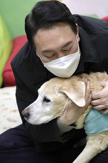 제목 노출 영역입니다 이미지