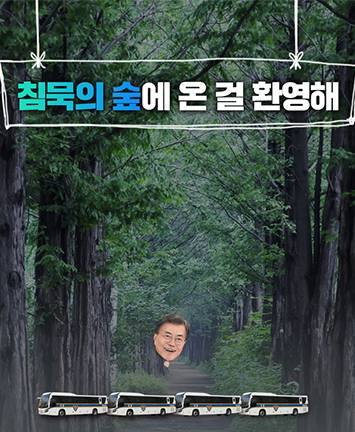 침묵의 숲에 온 걸 환영해