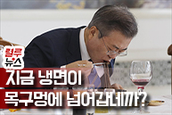 [렬루뉴스] 지금 냉면이 목구멍으로 넘어갑네까?