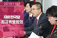 11월7일 자유한국당 최고위원회의