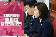 11월13일 자유한국당 원내대표-중진의원 회의