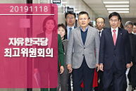 11월18일 자유한국당 최고위원회의