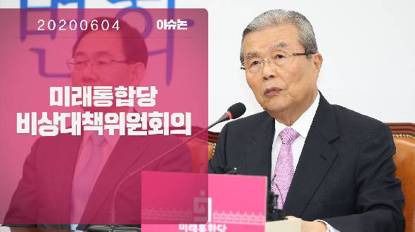 6월 4일 제2차 비상대책위원회의