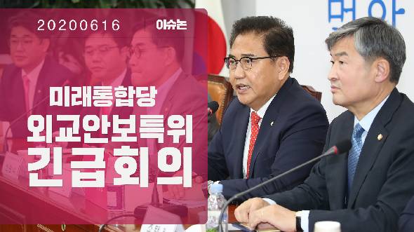 6월 16일 외교안보특위 긴급회의