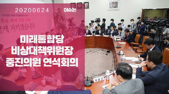 6월 24일 비상대책위원·중진의원 연석회의