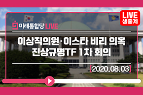 [Live] 8월 3일 이상직의원·이스타 비리 의혹 진상규명TF 1차 회의